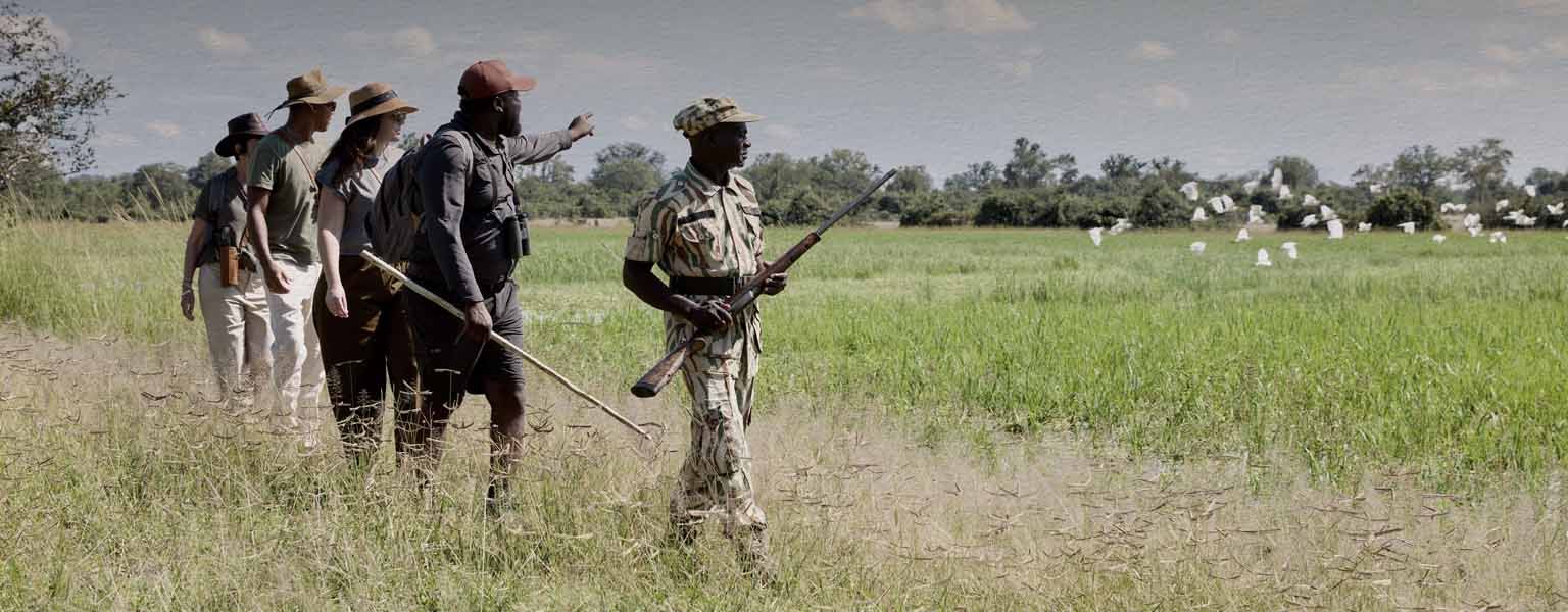 A guided walking safari through open grassland