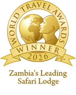 World Travel Awards — Zambia's Leading Safari Lodge 2026 winner shield