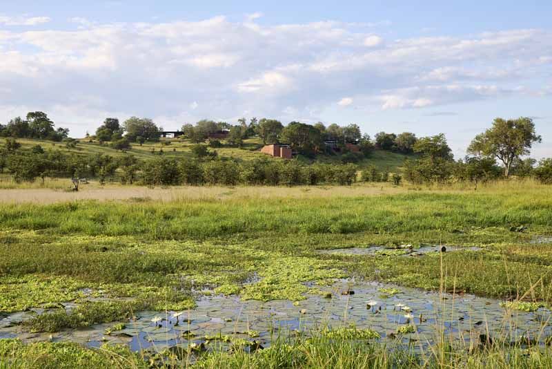 The floodplain below Chichele Presidential Lodge