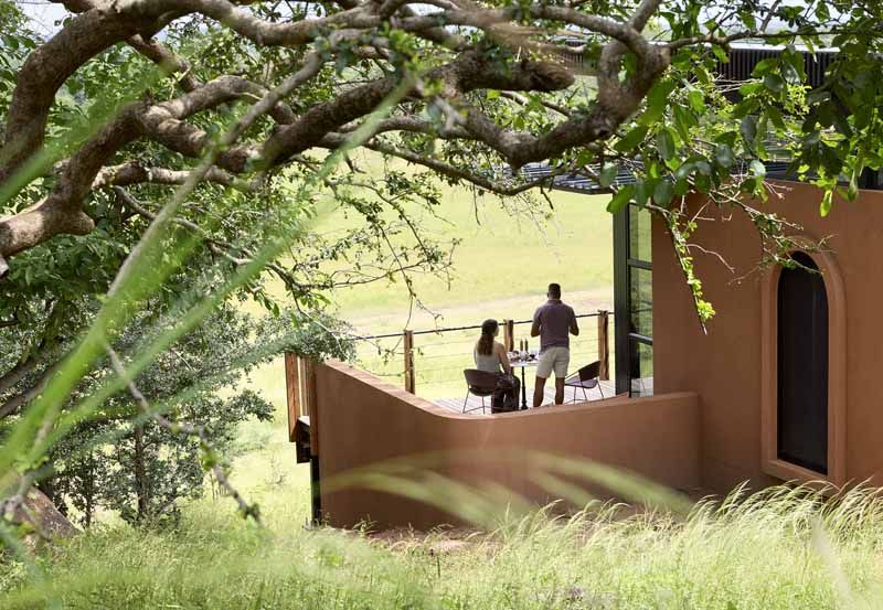 A Chichele suite framed by an ancient tree