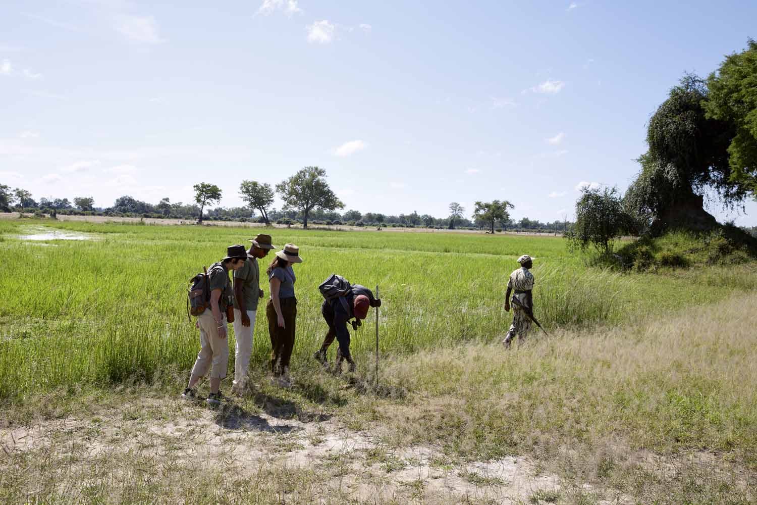 A walking safari crosses the open plain below Chichele Hill