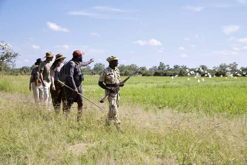 A guided walking safari in the Valley of the Leopard