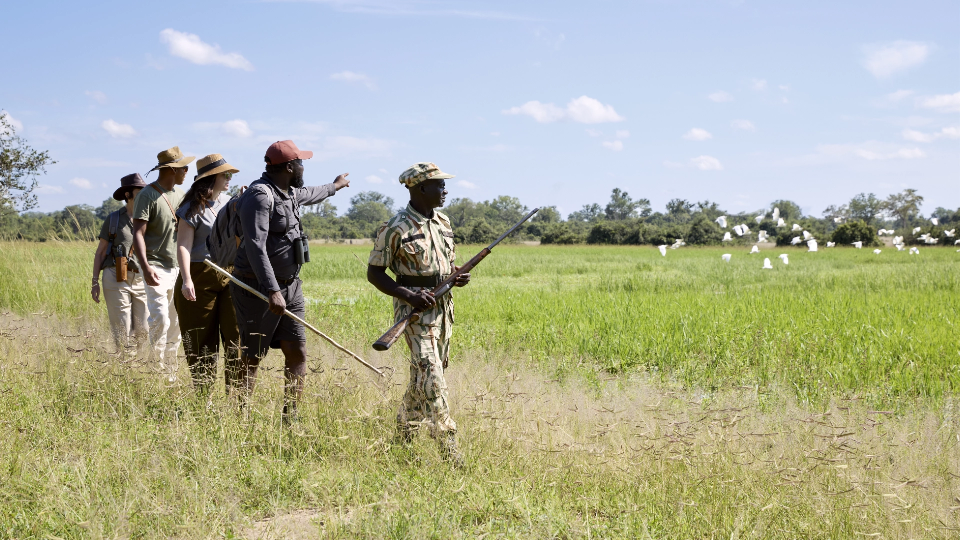 Zllc chichele presidential walking safari