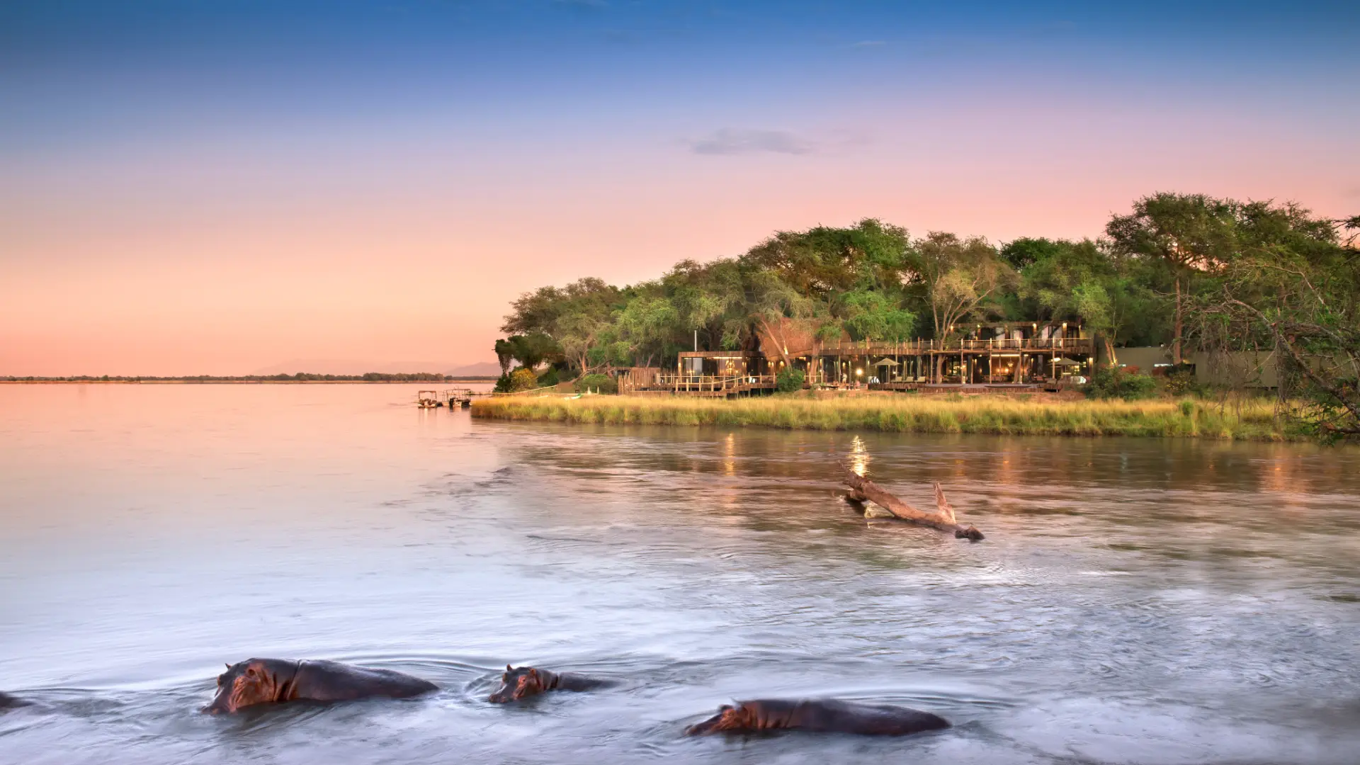 Zllc lolebezi evening hippos