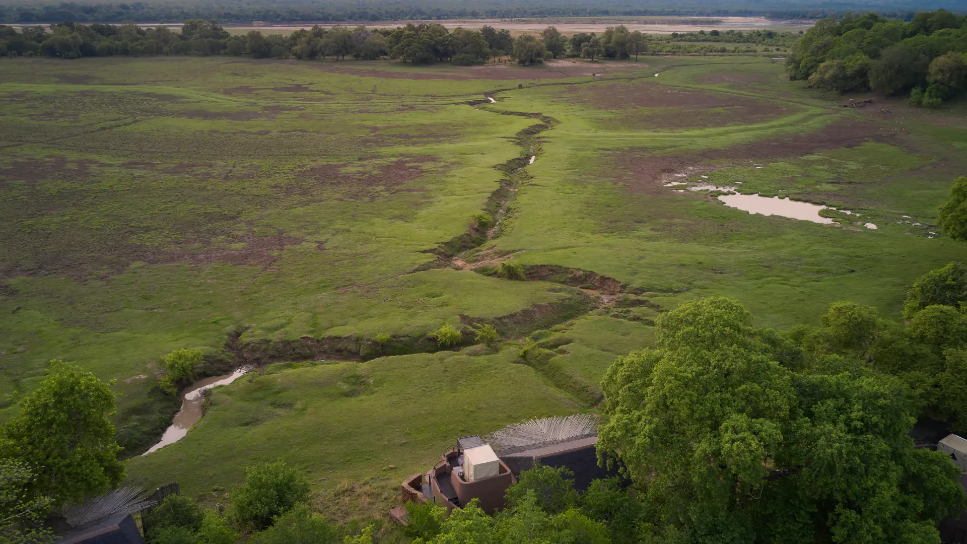 Zllc puku ridge floodplain
